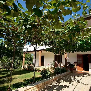 Kazalac Oasis Poreč
